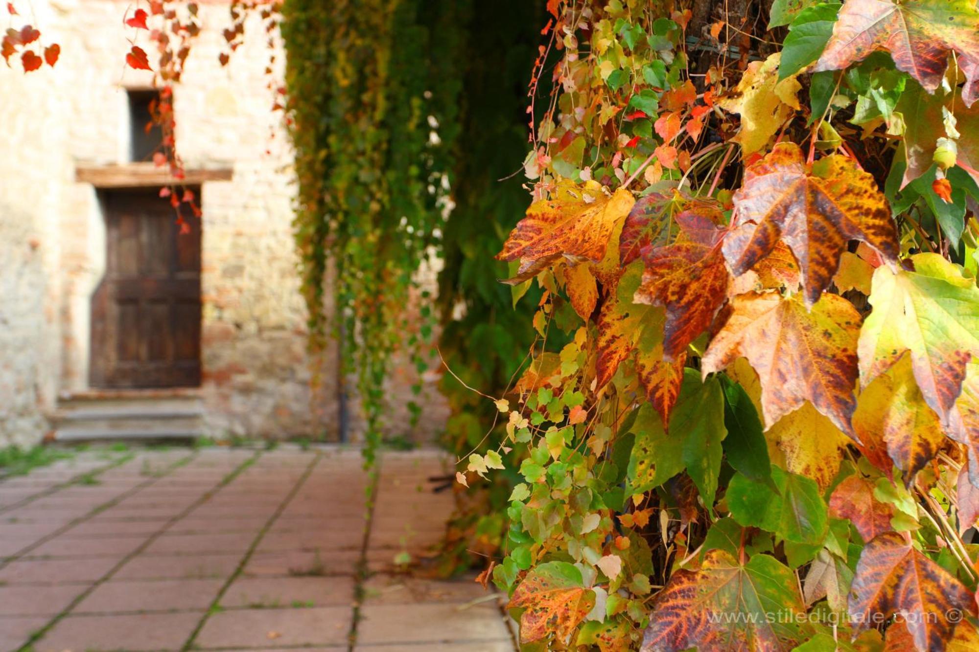 Corte D'Aibo Villa Monteveglio Dış mekan fotoğraf