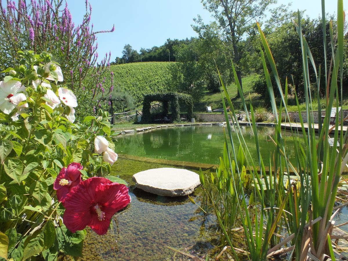 Corte D'Aibo Villa Monteveglio Dış mekan fotoğraf