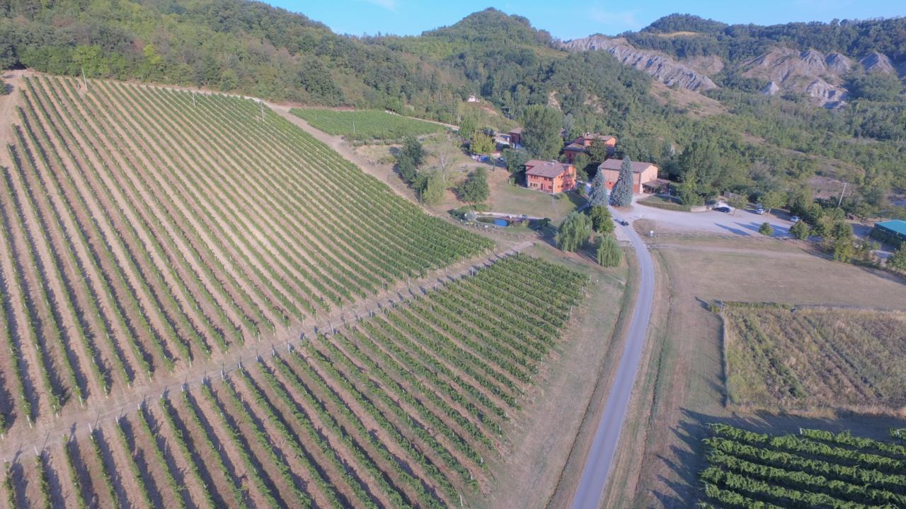 Corte D'Aibo Villa Monteveglio Dış mekan fotoğraf